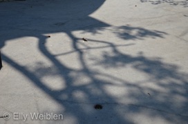 Elly Weiblen Schatten Paris 2012-2015-7.jpg